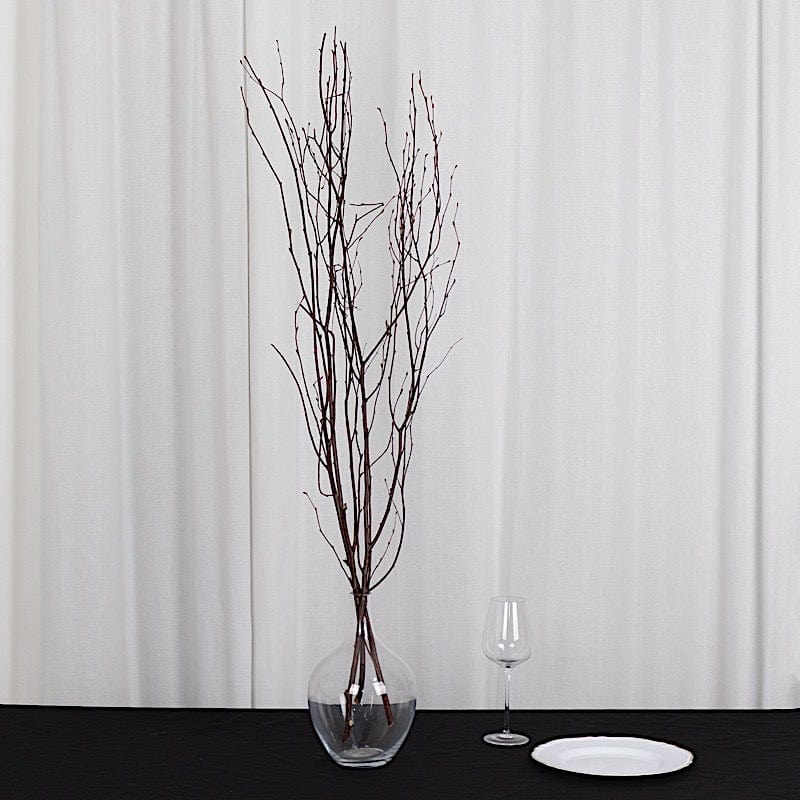 6 Decorative 46 in Extra Long Birch Tree Branches Vase Fillers