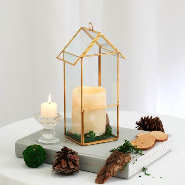 10.5 in tall Clear with Gold Metal Geometric Glass Terrarium Vase