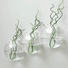 3 Clear Round Glass Wall Hanging Terrariums Vases