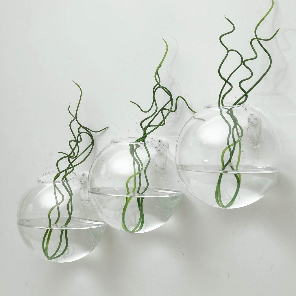 3 Clear Round Glass Wall Hanging Terrariums Vases