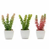 3 pcs 8" Assorted Artificial Faux Sedum Succulent Plants with Off White Pots