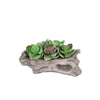 4 in tall Brown Driftwood Planter Pot with Green Artificial Succulent Plants