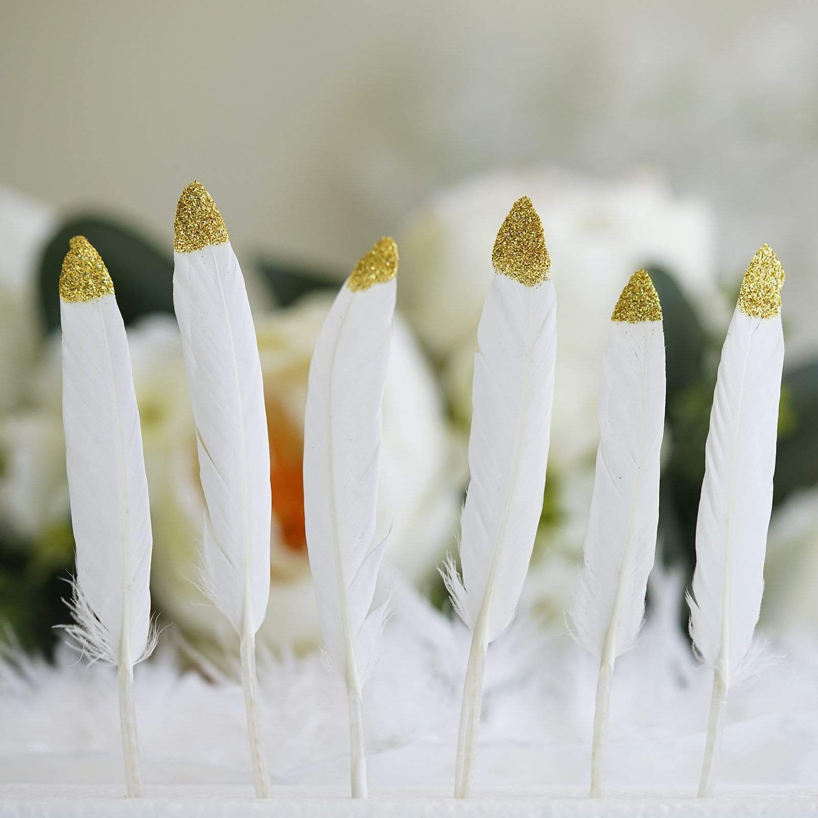 30 Tip Natural Decorative Turkey Feathers