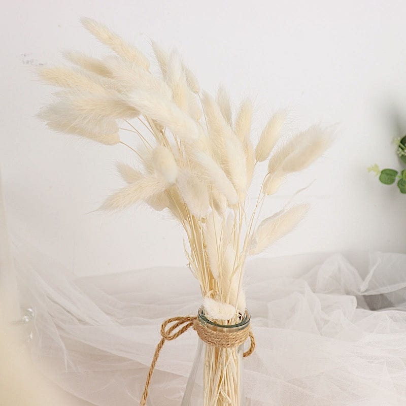 50 Natural 15 in Rabbit Tail Dried Pampas Grass Stems