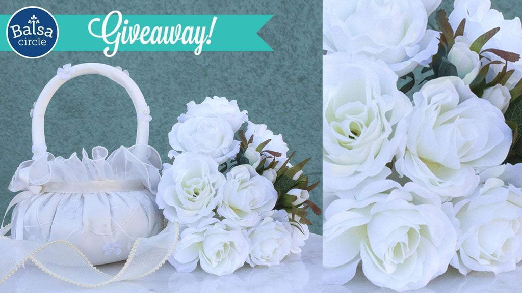 November 2018 Giveaway from Balsa Circle [Closed/Winner Announced!]