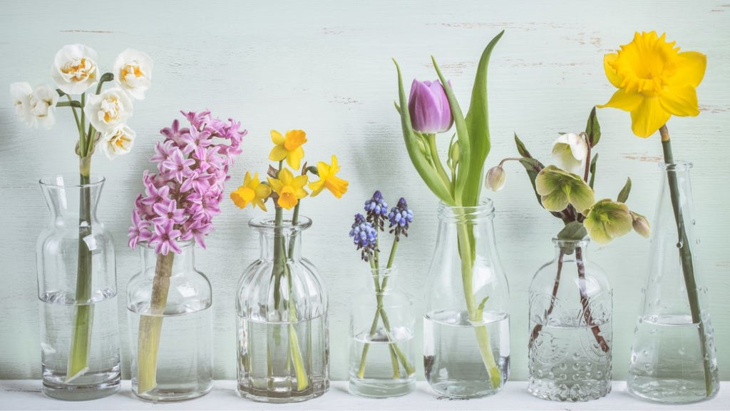 We Are Loving These Spring Home Decor Ideas