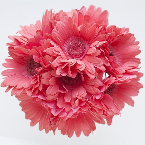 Coral Gerbera Daisies Bridal Bouquet