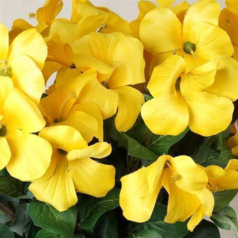 Yellow Silk Primrose Flowers