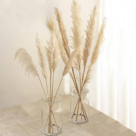 49" Natural Pampas Grass Sprays Dried Plant Stems