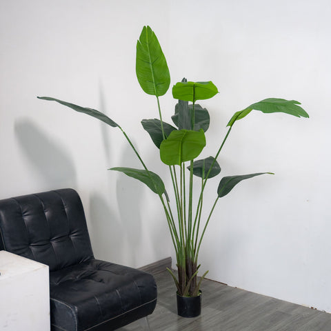 2 Green Bird of Paradise Artificial Plants in Black Planter Pots