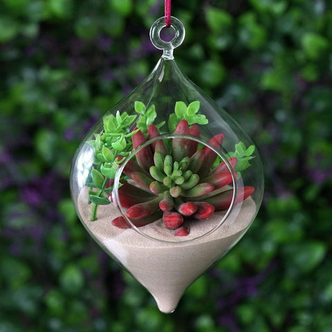 Glass Terrariums Centerpieces