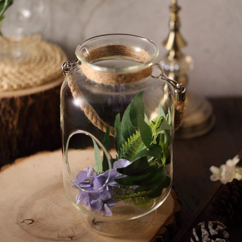 Glass Wall Terrariums