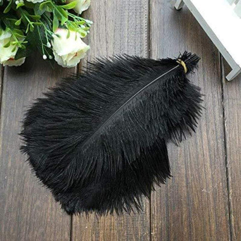 12 pcs 13 - 15 inche Genuine Ostrich Feathers