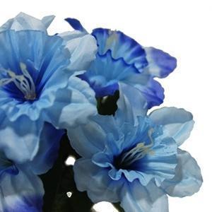 Daffodils