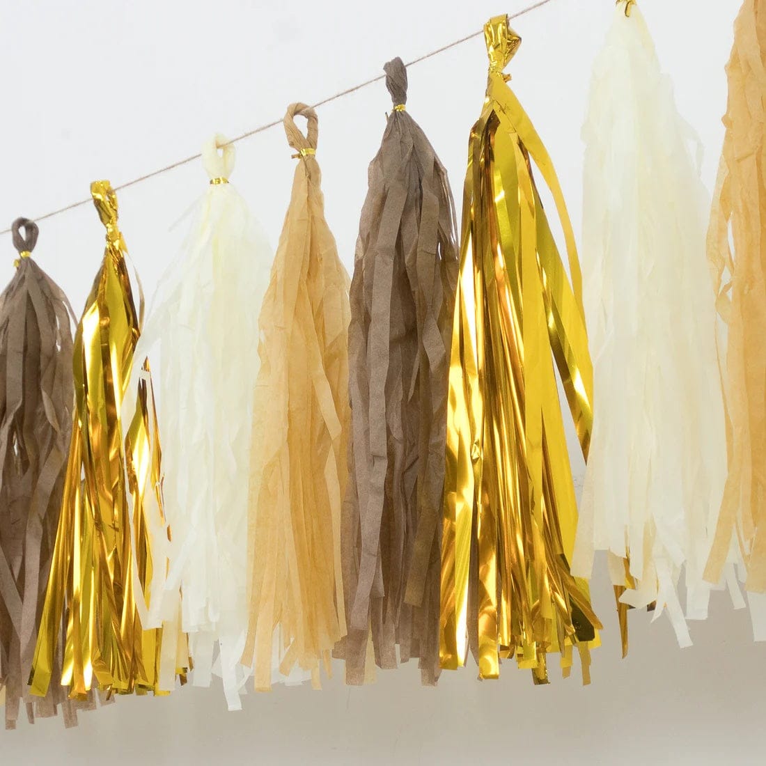 16 Assorted Pre-Tied Foil and Paper Tassels Garland with 10 feet Hanging String