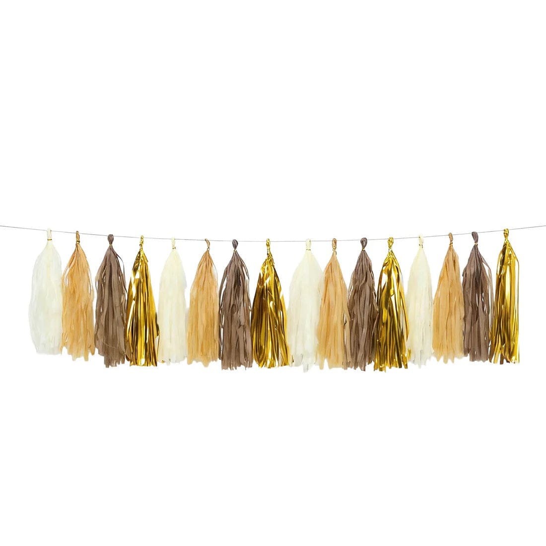 16 Assorted Pre-Tied Foil and Paper Tassels Garland with 10 feet Hanging String