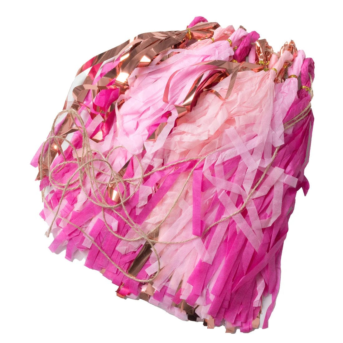 16 Assorted Pre-Tied Foil and Paper Tassels Garland with 10 feet Hanging String