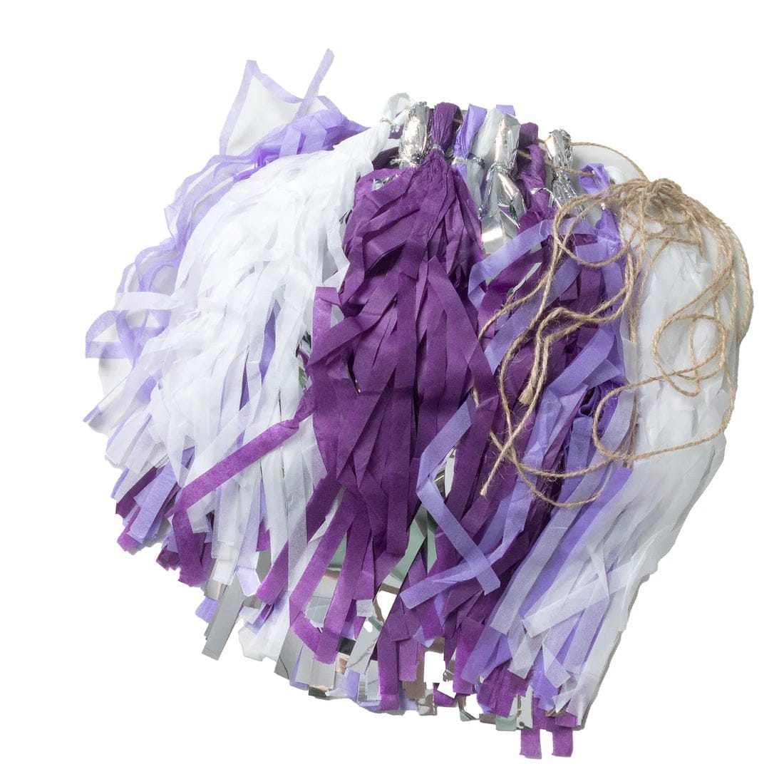 16 Assorted Pre-Tied Foil and Paper Tassels Garland with 10 feet Hanging String