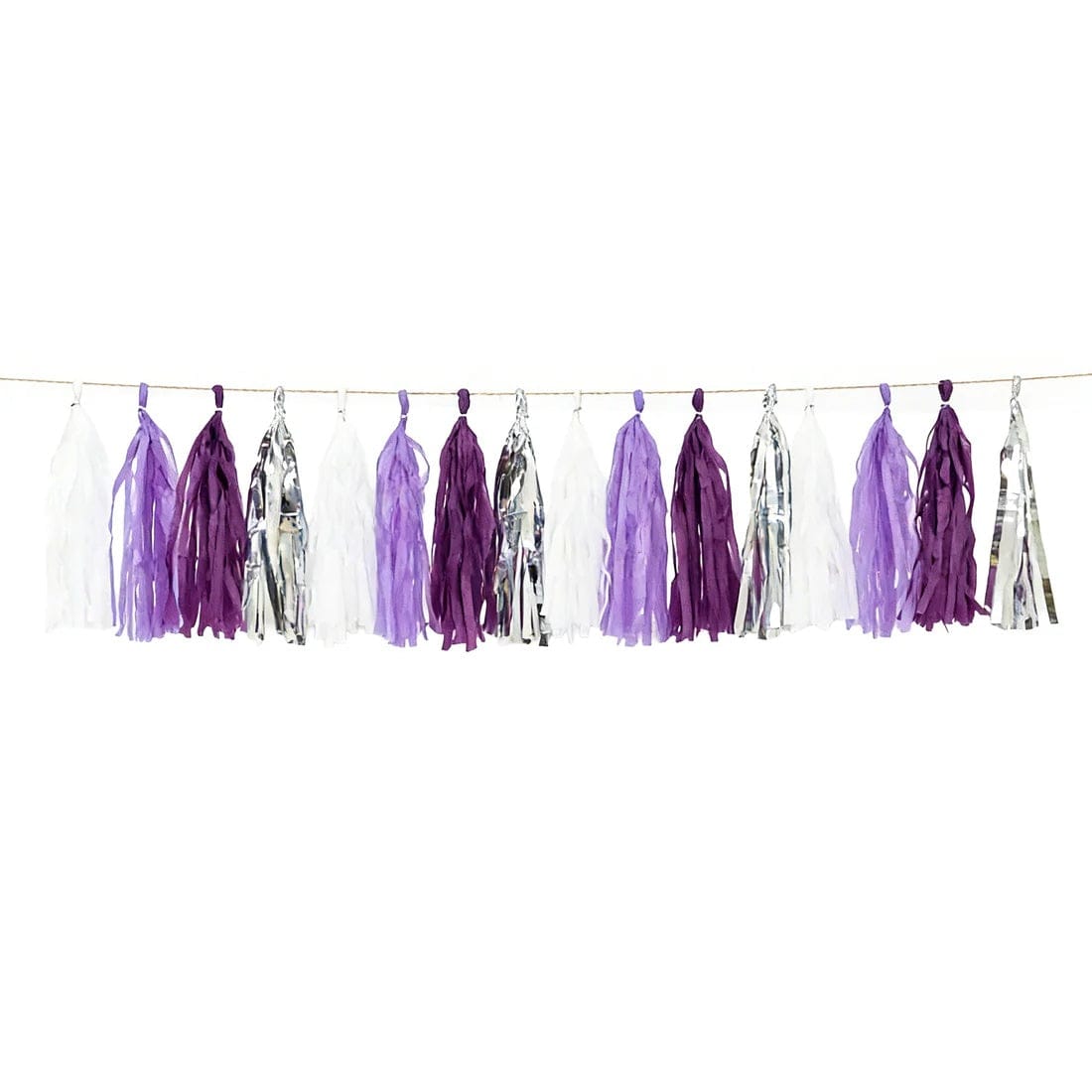 16 Assorted Pre-Tied Foil and Paper Tassels Garland with 10 feet Hanging String