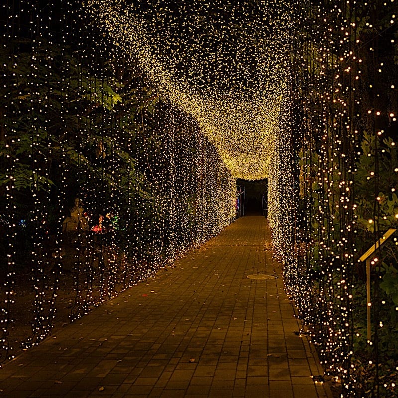 10 feet x 30 feet Warm White LED Curtain Fairy String Lights