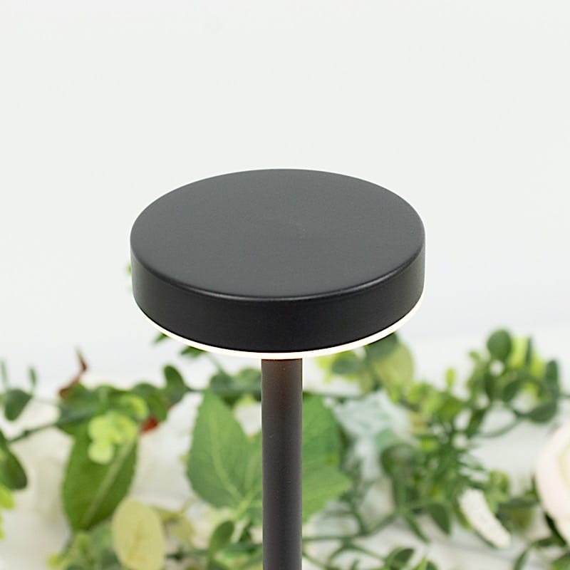 Metal Rechargeable Cordless Table Lamp with Touch Control