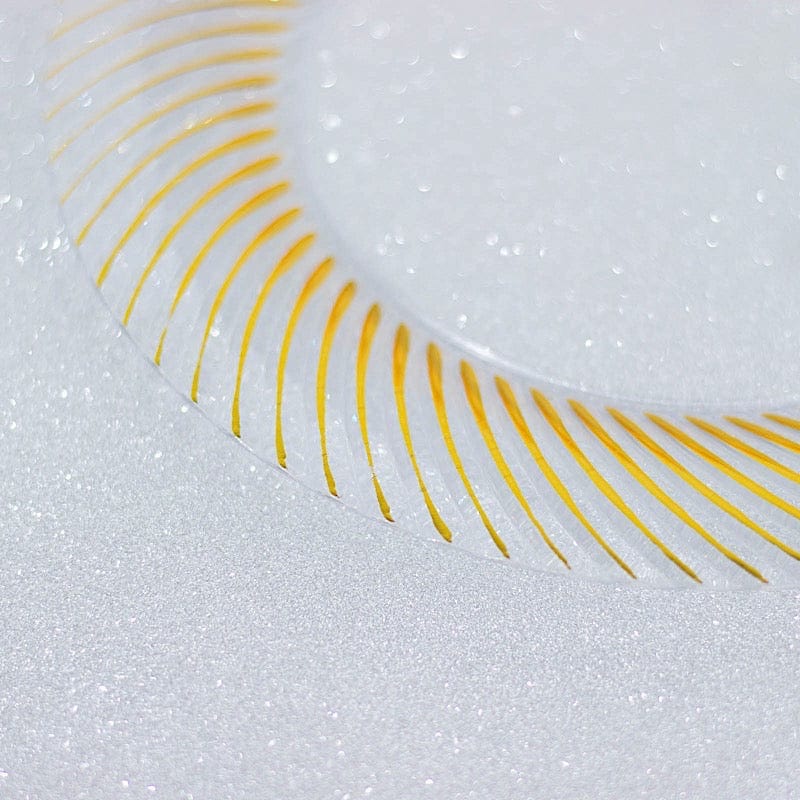 10 Round Disposable Salad and Dinner Plastic Plates with Swirl Design Trim