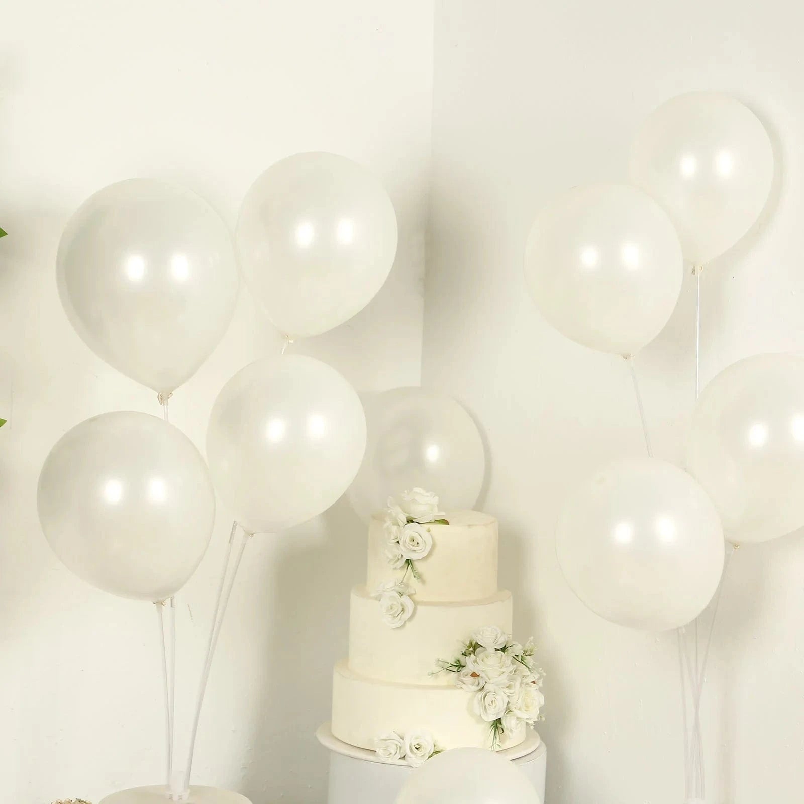 50 Round 12 in Biodegradable Party Balloons