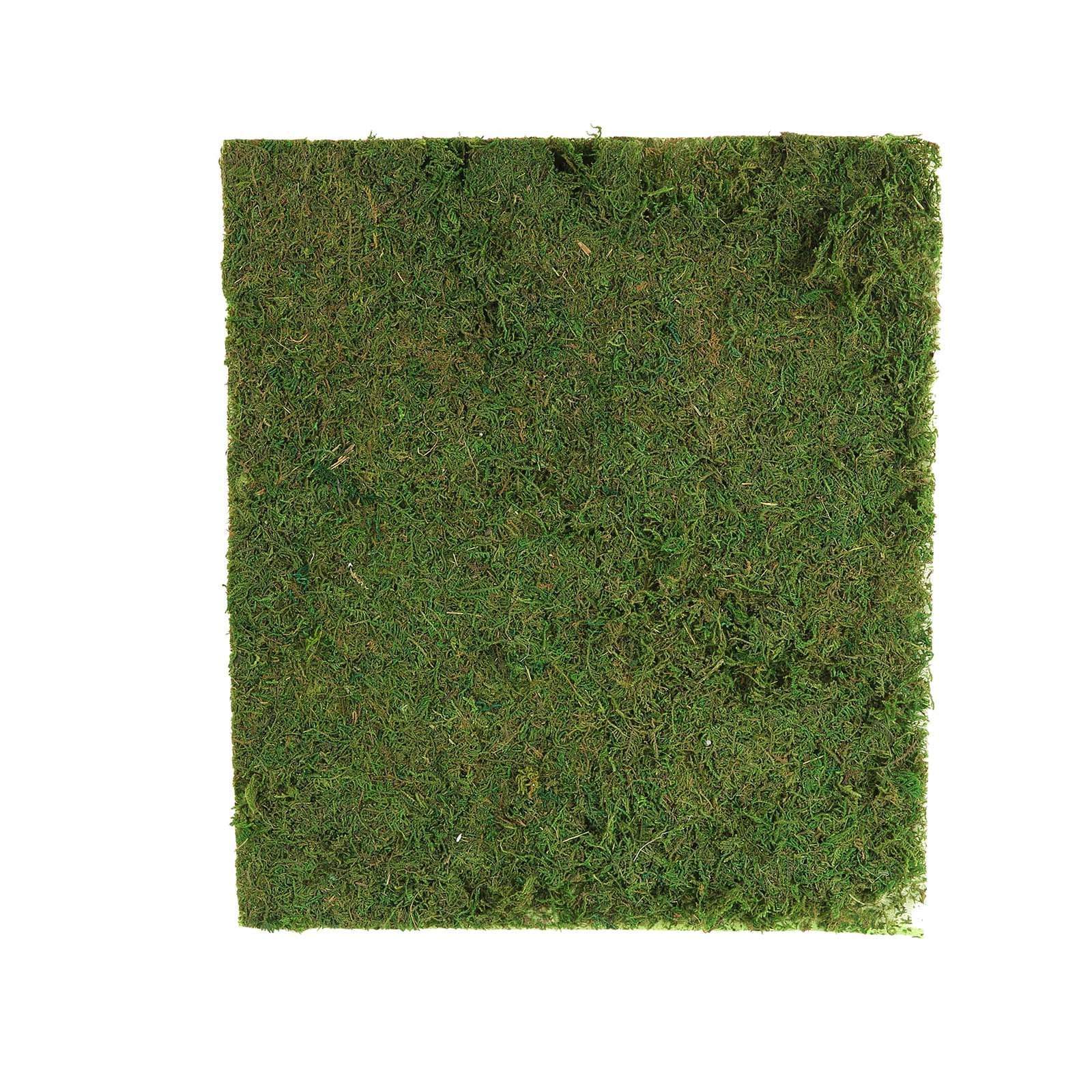 18x16 in Green Natural Preserved Moss Sheet Party Crafts Supplies