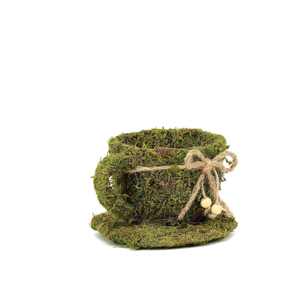 2 Green Natural Moss Teacups Planter Boxes with Ribbons Centerpieces