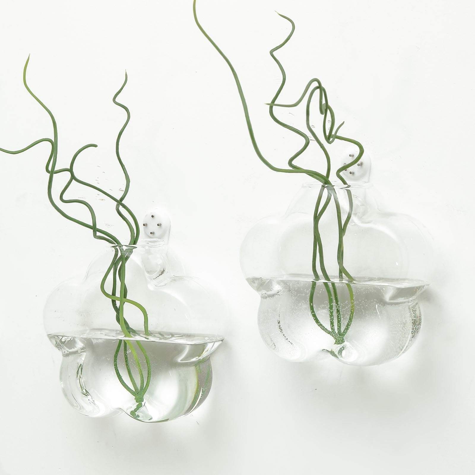 3 Clear Flower Glass Wall Hanging Terrariums Vases