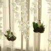 3 Clear Flower Glass Wall Hanging Terrariums Vases