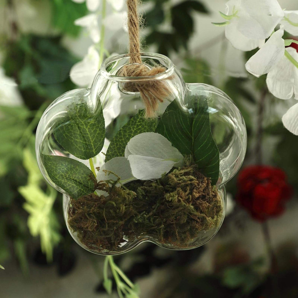 hanging glass plants 3 Clear Flower Glass Wall Hanging Terrariums Vases