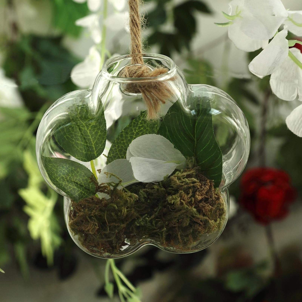 terrarium hanging plants 3 Clear Flower Glass Wall Hanging Terrariums Vases