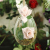 3 Clear Oval Glass Wall Hanging Terrariums Vases