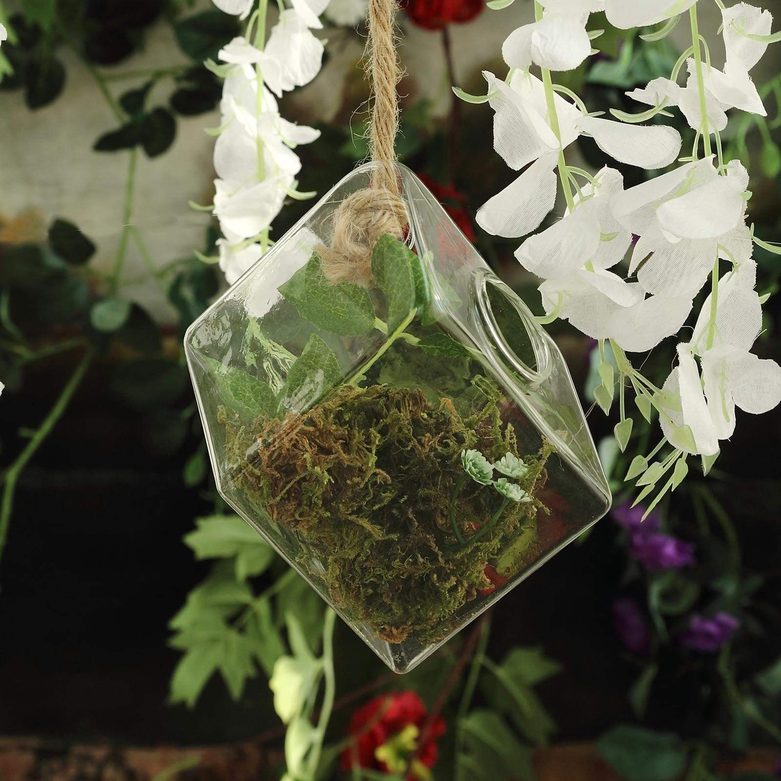 3 Clear Rhombus Glass Wall Hanging Terrariums Vases