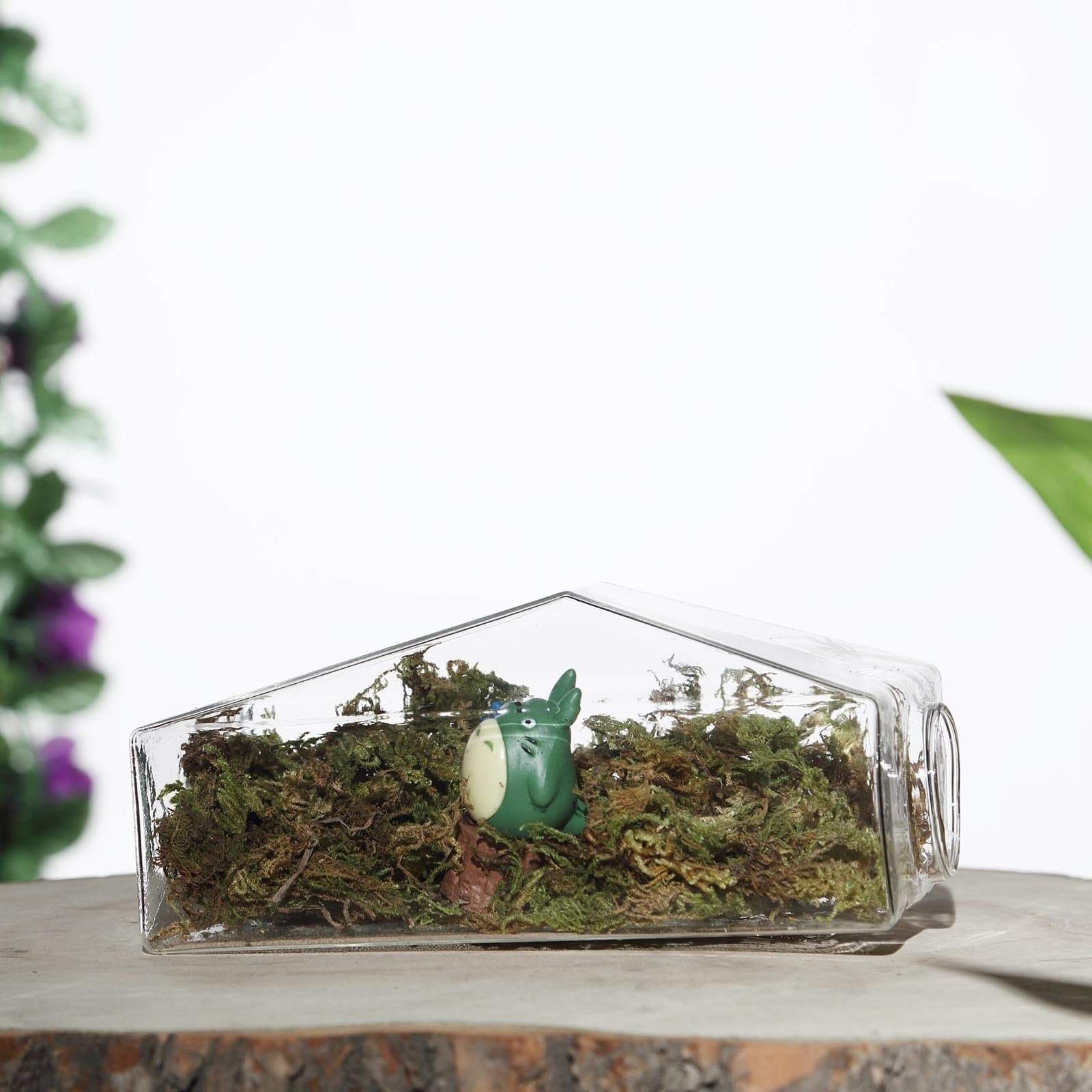 3 Clear Trapezoid Glass Wall Hanging Terrariums Vases