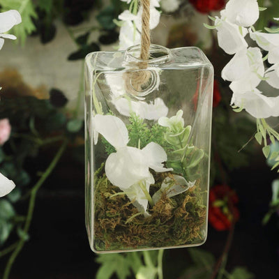 3 Clear Trapezoid Glass Wall Hanging Terrariums Vases