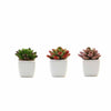 3 pcs 3" Assorted Artificial Faux Realistic Small Echeveria Succulent Plants with Pots