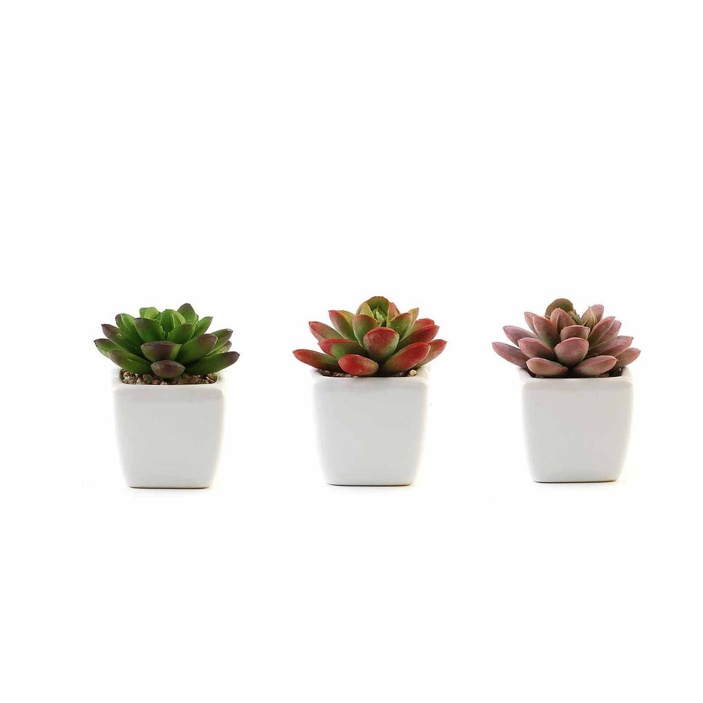 fake succulents small 3 pcs 3" Assorted Artificial Faux Small Succulent Plants with Pots