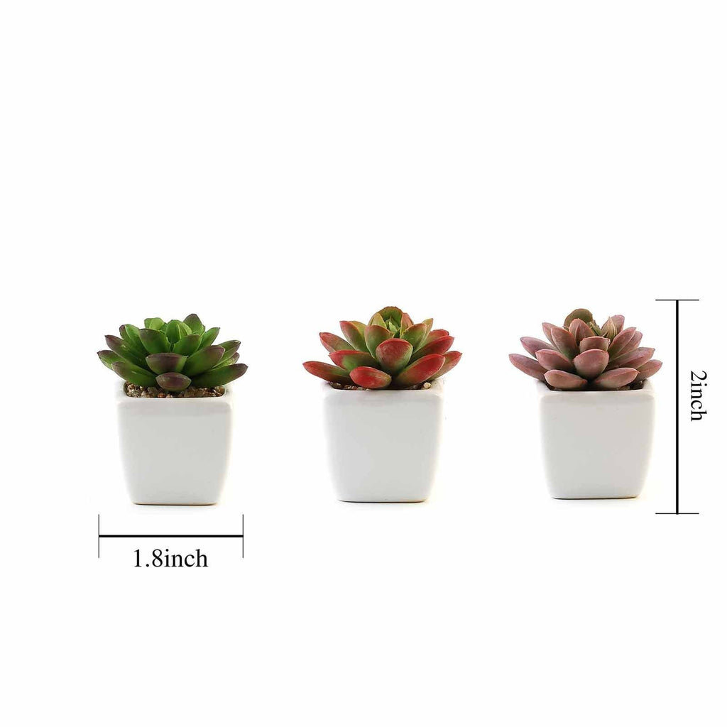 fake succulent plant 3-Pack Echeveria Elegans Artificial Succulents In Ceramic Pot 3"