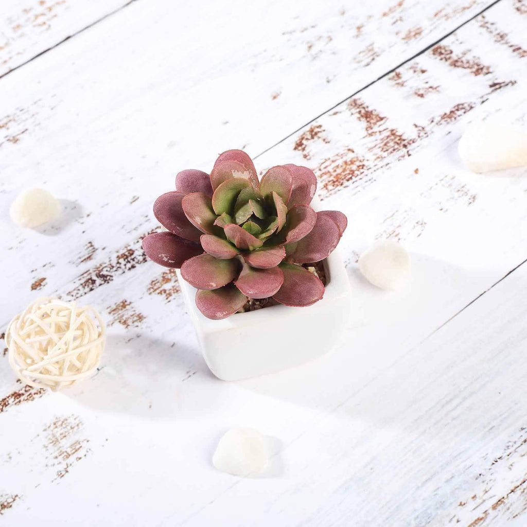 realistic succulents 3 pcs 3" Assorted Artificial Faux Small Succulent Plants with Pots
