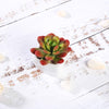 3 pcs 3" Assorted Artificial Faux Realistic Small Echeveria Succulent Plants with Pots