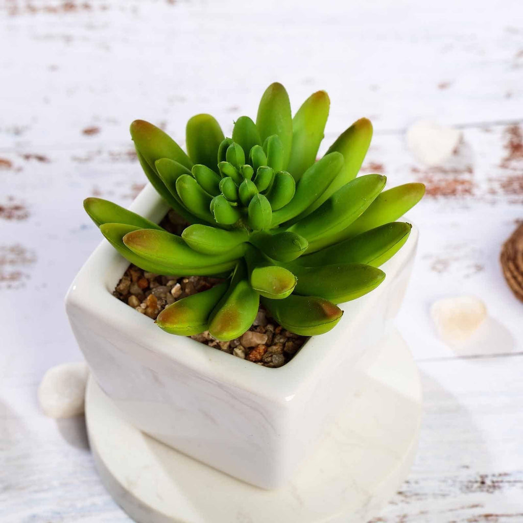 3 pcs 4" Assorted Green Artificial Faux Realistic Crassula Succulent Plants with Off White Pots