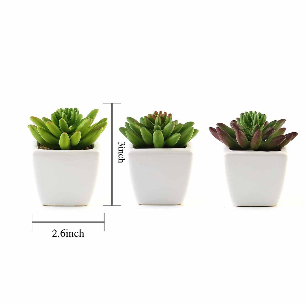 3 pcs 4" Assorted Green Artificial Faux Realistic Crassula Succulent Plants with Off White Pots