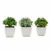3 pcs 4" Green Artificial Faux Crassula Succulent Plants with Off White Pots