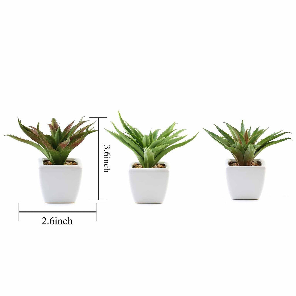 aloe plant in white pot 3-Pack Spotted Aloe Vera Artificial Succulents In Ceramic Pot 5"