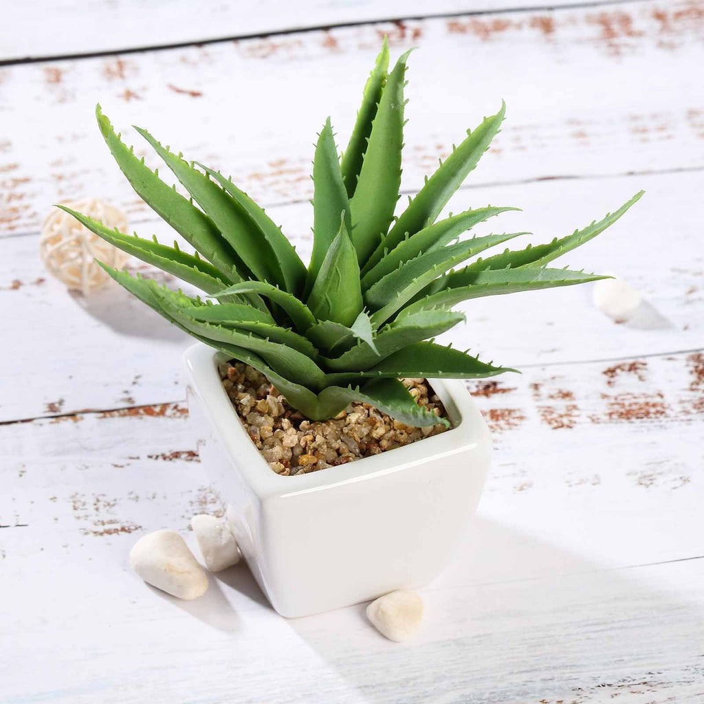 3 pcs 5" Assorted Artificial Faux Cute Realistic Succulent Aloe Plants with Off White Pots