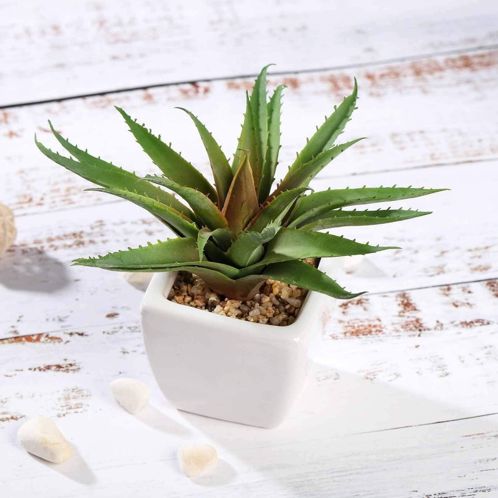 fake aloe vera plant 3-Pack Spotted Aloe Vera Artificial Succulents In Ceramic Pot 5"