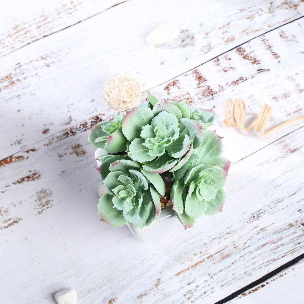fake succulent plants bulk 3 pcs 5" Assorted Artificial Faux Echeveria Succulent Plants with Pots