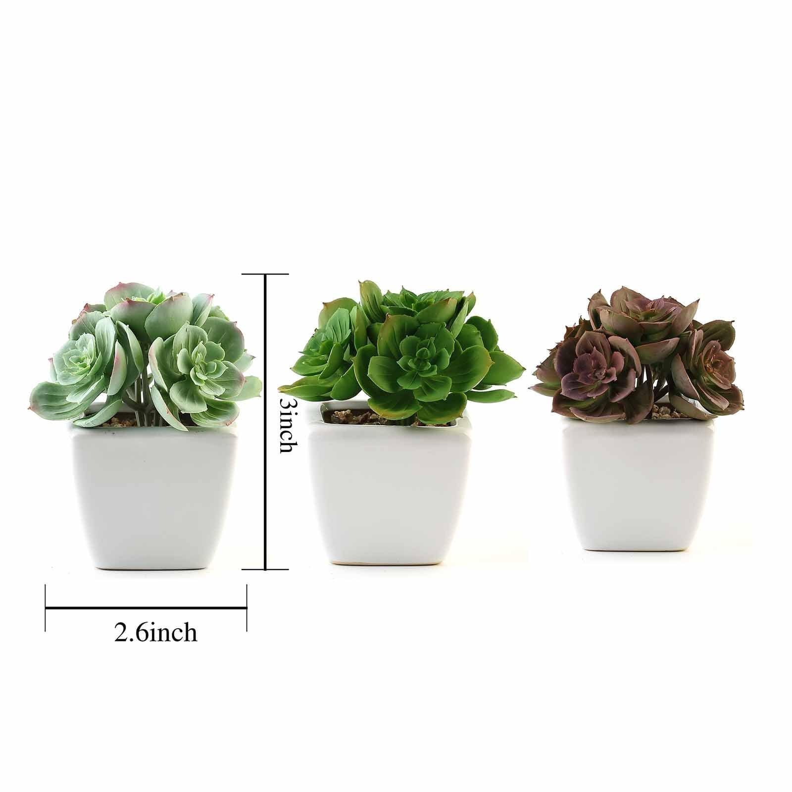 3 pcs 5